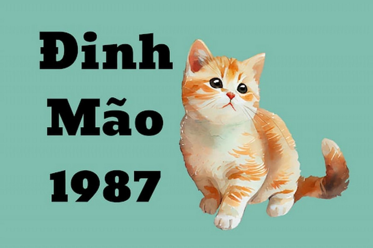 nam 1987 theo lich am la dinh mao thuoc tuoi con meo mao Năm 1987 theo lịch âm là Đinh Mão, thuộc tuổi con Mèo (Mão)